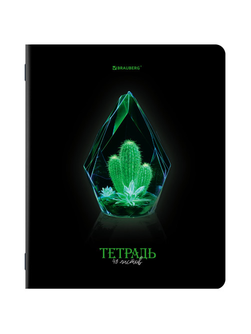 Тетради ДЭК А5 48 л. КОМПЛЕКТ 5 шт. BRAUBERG, скоба, клетка, глянцевый лак, 