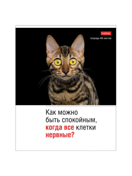 Тетрадь А5 48 л., HATBER скоба, клетка, обложка картон, 