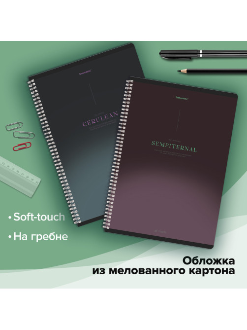 Тетради ДЭК А4 96 л. КОМПЛЕКТ 2 шт. BRAUBERG гребень, клетка, SoftTouch, 