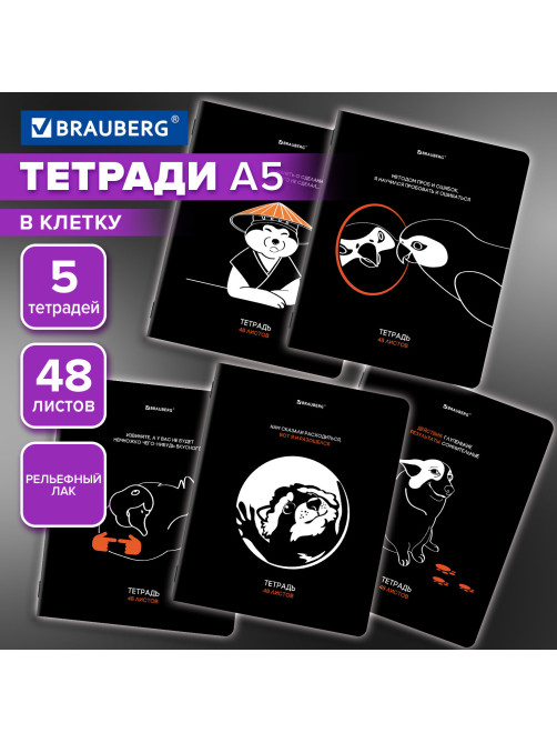 Тетради ДЭК А5 48 л. КОМПЛЕКТ 5 шт. BRAUBERG, скоба, клетка, TWIN-лак, 