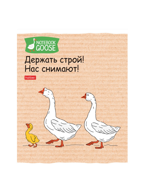Тетрадь А5 48 л., HATBER скоба, клетка, обложка картон, 