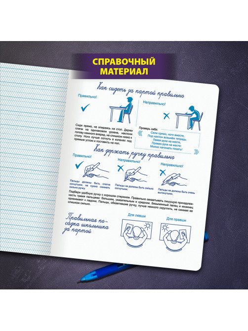 Тетради ДЭК 12 л. КОМПЛЕКТ 10 шт. ПРОПИСЬ № 1 частая косая линия С ДОПОЛНИТЕЛЬНОЙ ГОРИЗОНТАЛЬНОЙ, со справочным материалом, ЮНЛАНДИЯ, 404860