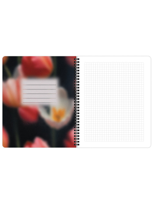 Тетради ДЭК А5 96 л. КОМПЛЕКТ 4 шт., BRAUBERG, гребень, клетка, 80 г/м2, Soft-Touch, 