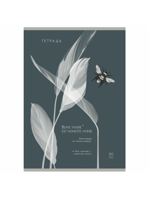 Тетрадь А4 80 л. ПЗБМ, скоба, клетка, Soft Touch, брайль, 