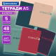 Тетради ДЭК А5 48 л. КОМПЛЕКТ 5 шт. BRAUBERG скоба, клетка, SoftTouch, 