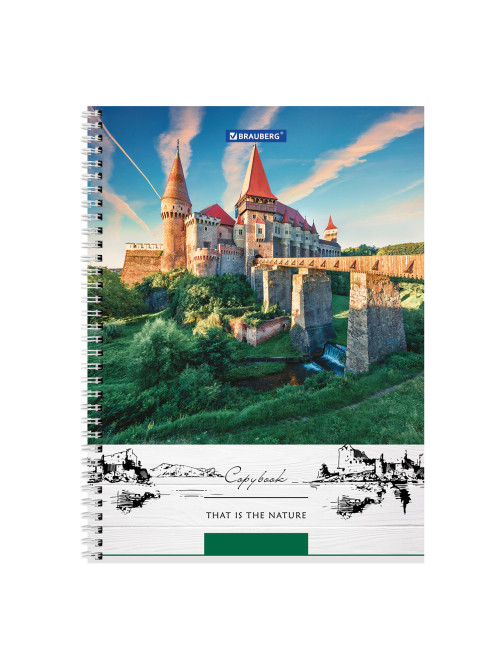 Тетрадь А4, 80 л., BRAUBERG, гребень, клетка, обложка твердая, 