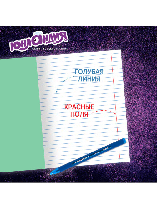 Тетради ДЭК 12 л. КОМПЛЕКТ 20 шт. с ЗЕЛЁНОЙ обложкой, ЮНЛАНДИЯ, линия, 106742