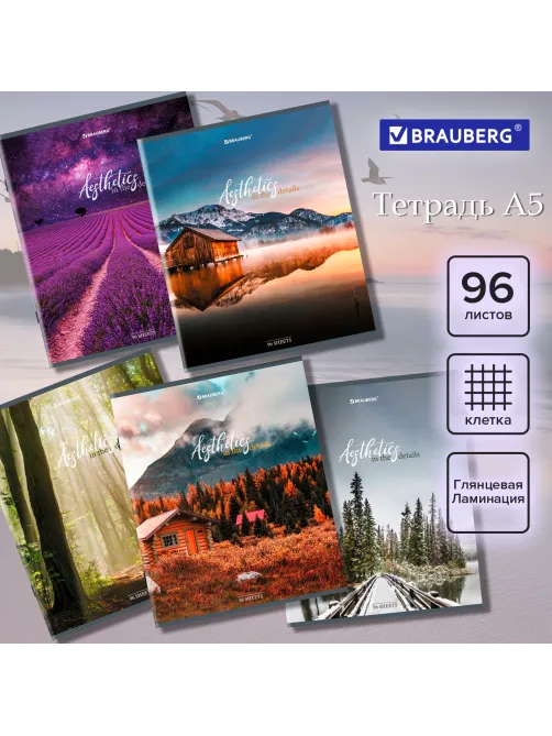 Тетрадь А5, 96 л., BRAUBERG, скоба, клетка, глянцевая ламинация, 