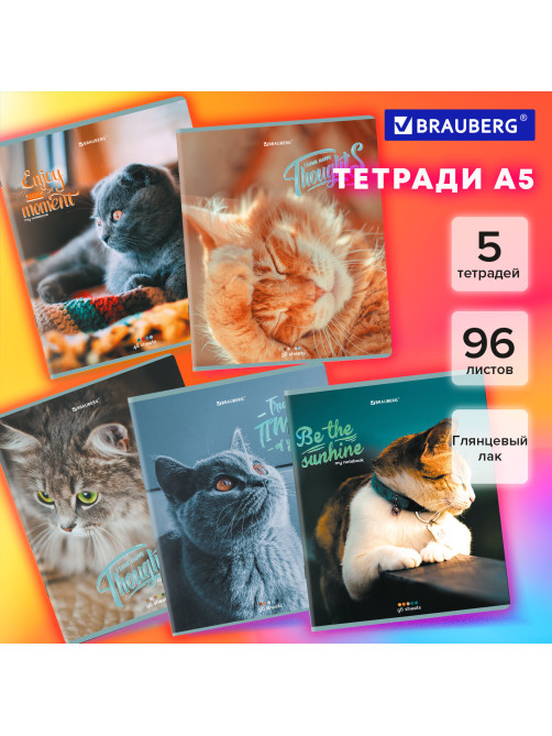 Тетради ДЭК А5 96 л. КОМПЛЕКТ 5 шт., BRAUBERG скоба, клетка, матовая ламинация, 