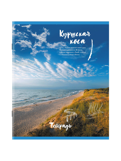 Тетрадь А5, 96 л., STAFF, скоба, клетка, офсет №2 ЭКОНОМ, обложка картон, 