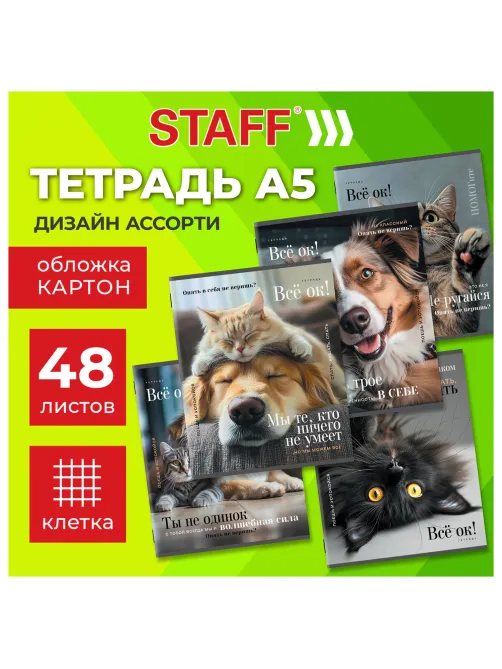 Тетрадь А5 48 л. STAFF 