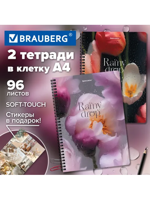 Тетради ДЭК А4 96 л. КОМПЛЕКТ 2 шт., BRAUBERG, гребень, клетка, 80 г/м2, Soft-Touch, 