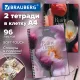 Тетради ДЭК А4 96 л. КОМПЛЕКТ 2 шт., BRAUBERG, гребень, клетка, 80 г/м2, Soft-Touch, 