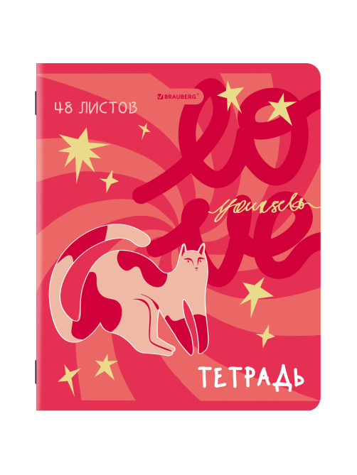 Тетради ДЭК А5 48 л. КОМПЛЕКТ 5 шт. BRAUBERG, скоба, клетка, TWIN-лак, 