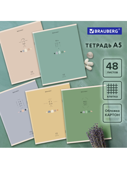 Тетрадь А5 48 л. BRAUBERG скоба, клетка, обложка картон, 