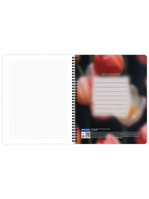 Тетради ДЭК А5 48 л. КОМПЛЕКТ 4 шт., BRAUBERG, гребень, клетка, 80 г/м2, Soft-Touch, 
