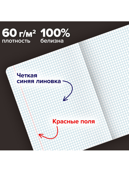 Тетради ДЭК А5 48 л. КОМПЛЕКТ 5 шт. BRAUBERG скоба, клетка, матовая ламинация, GRACE, 404935