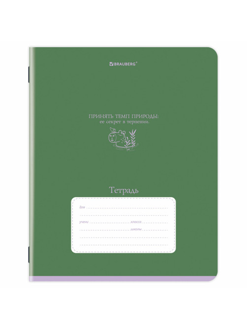 Тетради ДЭК 12 л., КОМПЛЕКТ 10 шт., BRAUBERG, клетка, обложка картон, 