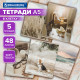 Тетради ДЭК А5 48 л. КОМПЛЕКТ 5 шт. BRAUBERG, скоба, клетка, SoftTouch, 