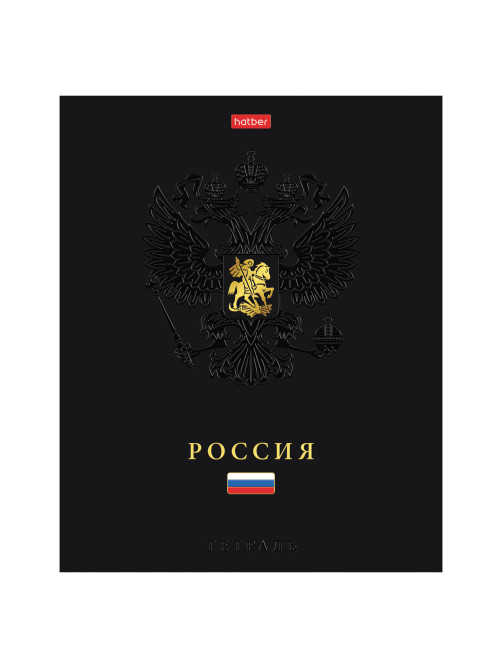 Тетрадь А5 48 л., HATBER, скоба, клетка, матовая ламинация, 3D-фольга, 3D-лак, Россия (микс), 093210, 48Т5лофлВ1
