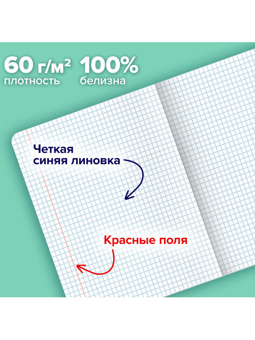 Тетради ДЭК А5 48 л. КОМПЛЕКТ 5 шт. BRAUBERG скоба, клетка, матовая ламинация, выборочный лак, КУРЛЫК И ВСЕ ВСЕ ВСЕ, 404959