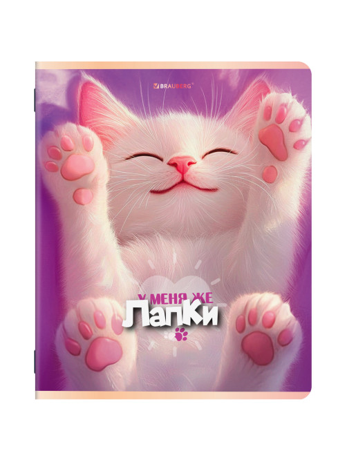 Тетради ДЭК А5 48 л. КОМПЛЕКТ 5 шт. BRAUBERG, скоба, клетка, SoftTouch, 