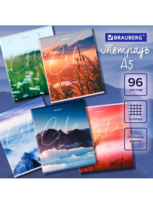Тетрадь А5 96 л. BRAUBERG скоба, клетка, обложка картон, 