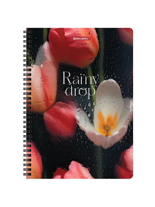 Тетради ДЭК А4 96 л. КОМПЛЕКТ 2 шт., BRAUBERG, гребень, клетка, 80 г/м2, Soft-Touch, 