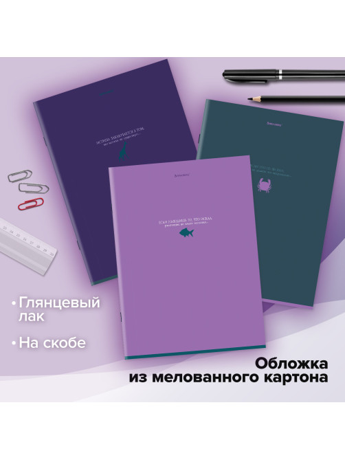 Тетради ДЭК А4 96 л. КОМПЛЕКТ 3 шт. BRAUBERG скоба, клетка, глянцевый лак, 