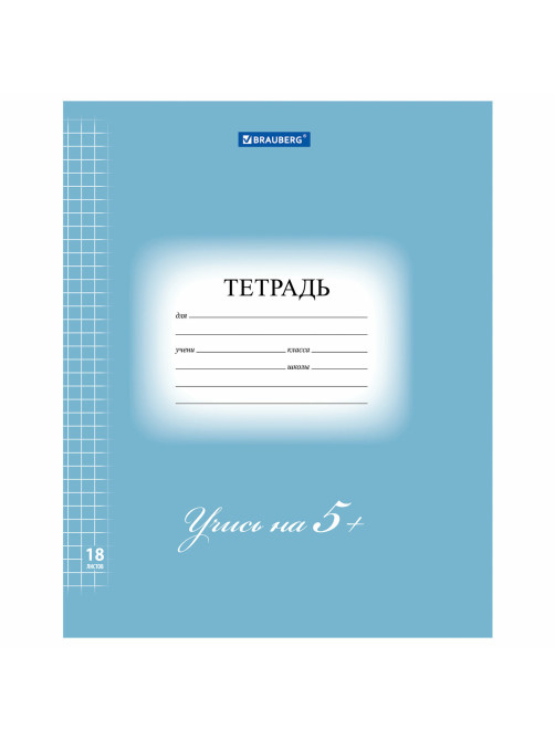 Тетрадь 18 л. BRAUBERG ЭКО 