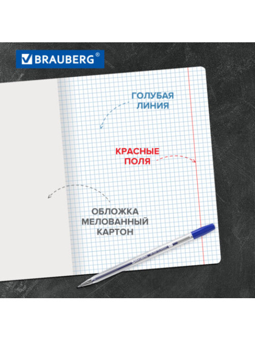 Тетради ДЭК 24 л., КОМПЛЕКТ 10 шт., BRAUBERG 