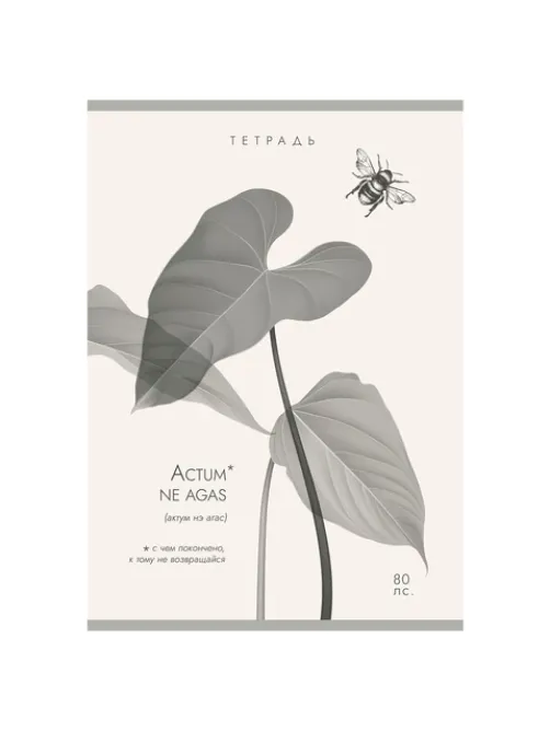 Тетрадь А4 80 л. ПЗБМ, скоба, клетка, Soft Touch, брайль, 
