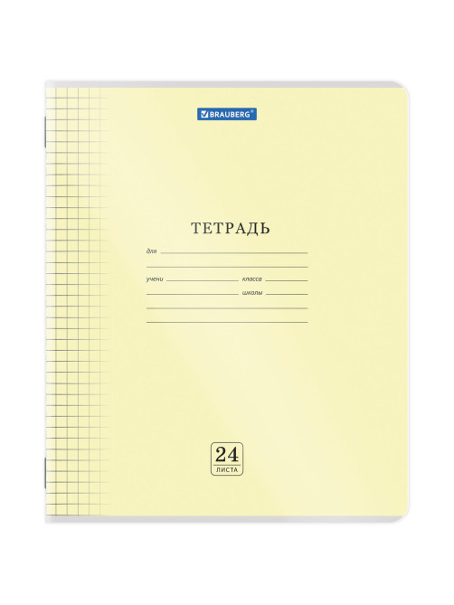Тетрадь пластиковая обложка (прозрачная) 24 листа, клетка, BRAUBERG 
