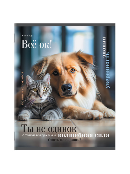 Тетрадь А5 48 л. STAFF 