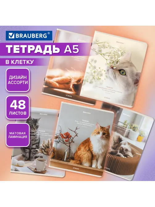 Тетрадь А5, 48 л., BRAUBERG, скоба, клетка, матовая ламинация, 