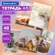 Тетрадь А5, 48 л., BRAUBERG, скоба, клетка, матовая ламинация, 