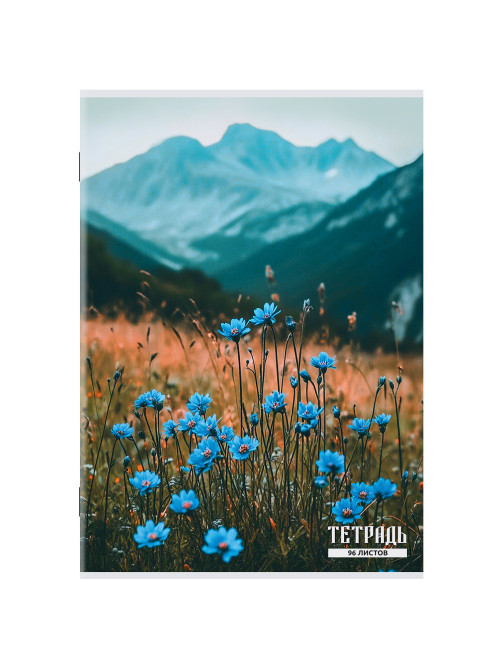 Тетрадь А4 96 л. STAFF 