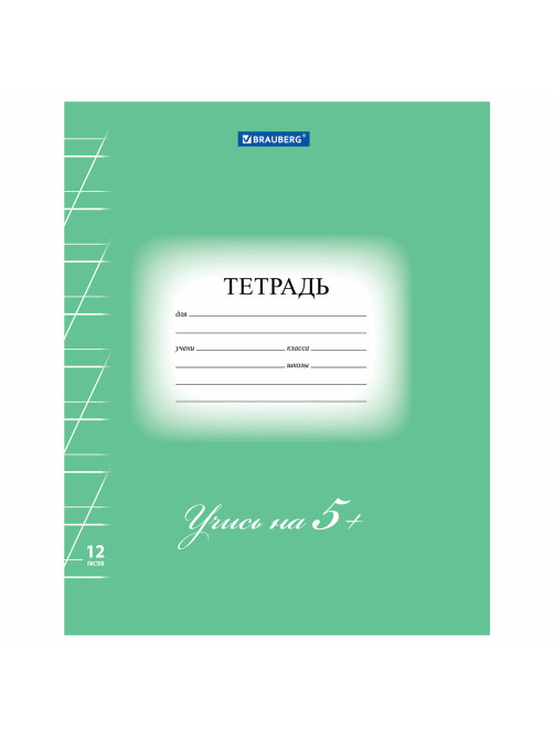 Тетрадь 12 л. BRAUBERG ЭКО 