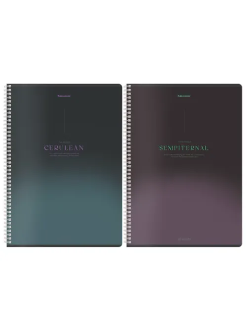 Тетрадь А4, 96 л., BRAUBERG, гребень, клетка, Soft Touch, 