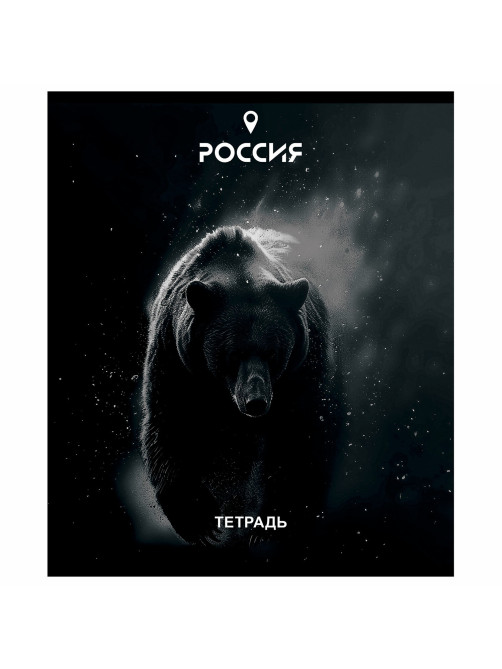 Тетрадь А5 48 л. ПЗБМ, скоба, клетка, Soft Touch, брайль, 