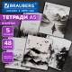 Тетради ДЭК А5 48 л. КОМПЛЕКТ 5 шт. BRAUBERG скоба, клетка, матовая ламинация, CALM NATURE, 404951