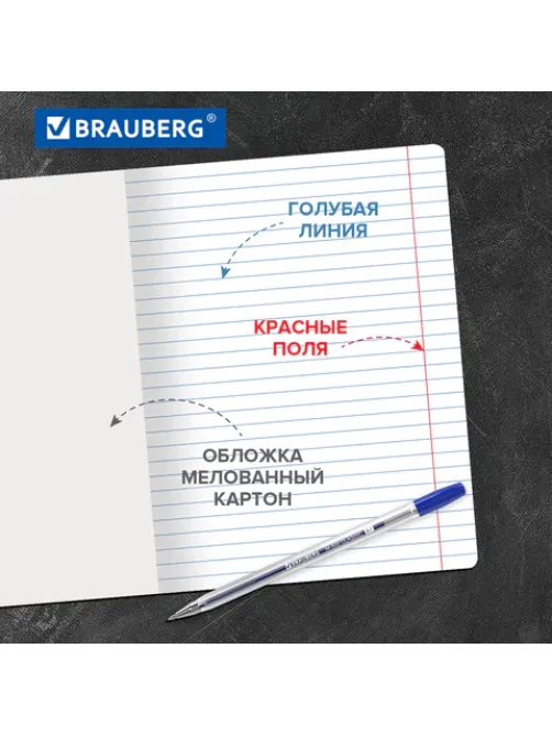 Тетради ДЭК 18 л., КОМПЛЕКТ 10 шт., BRAUBERG 