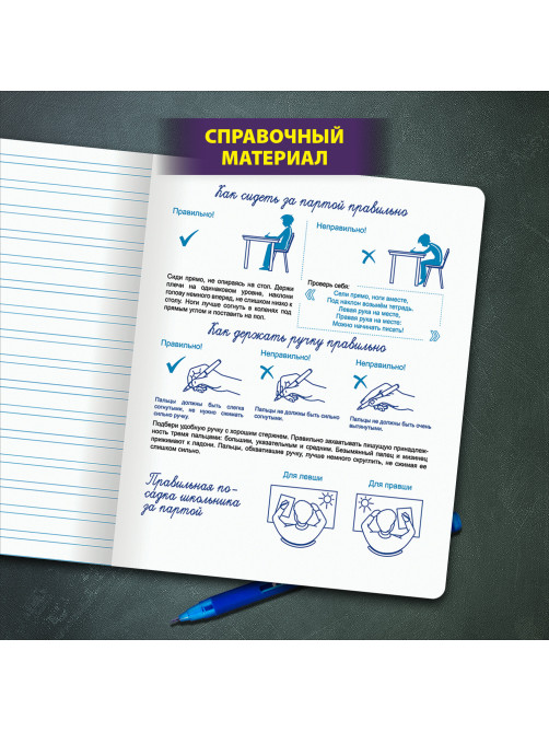 Тетради ДЭК 12 л. КОМПЛЕКТ 10 шт. ПРОПИСЬ № 5 узкая линия, со справкой, ЮНЛАНДИЯ, 404856