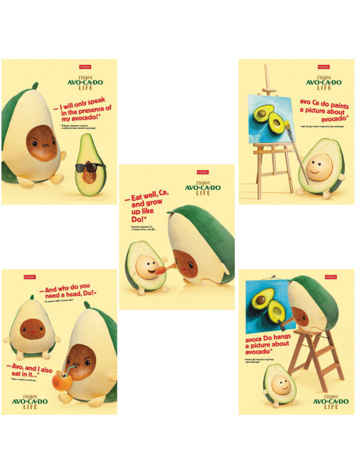 Тетрадь А5, 48 л., HATBER, скоба, клетка, обложка картон, AvoCaDo life (5 видов в спайке), 48Т5В1