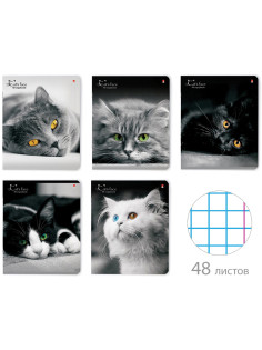 Тетрадь А5 48 л. АЛЬТ скоба, клетка, глянцевый лак, 