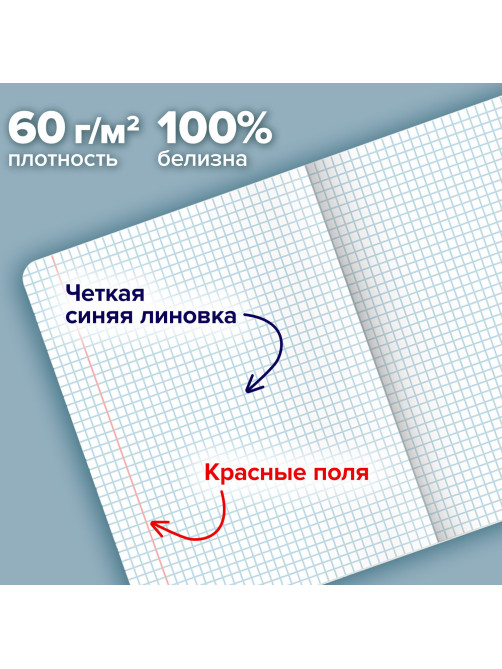 Тетради ДЭК А5 48 л. КОМПЛЕКТ 5 шт. BRAUBERG скоба, клетка, SoftTouch, 
