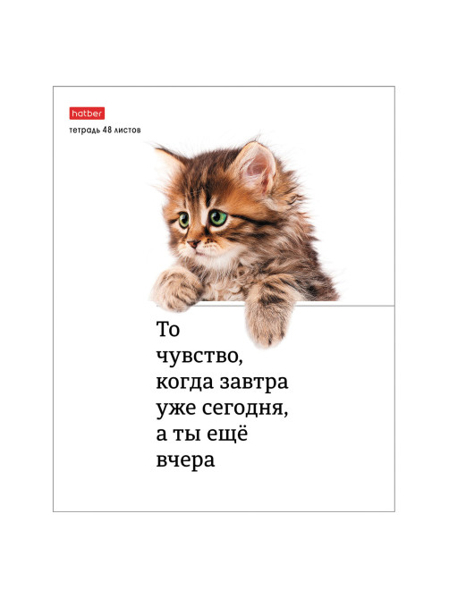 Тетрадь А5 48 л., HATBER скоба, клетка, обложка картон, 