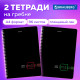 Тетради КОМПЛЕКТ 2 шт., А4, 96 л., BRAUBERG гребень, клетка, глянцевый лак, 