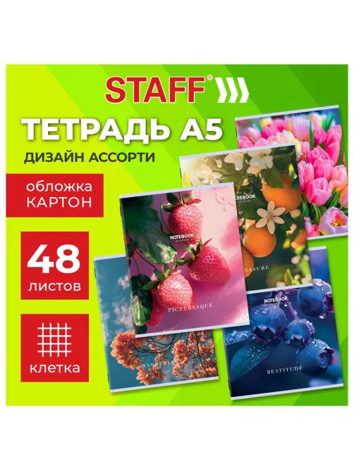 Тетрадь А5 48 л. STAFF 