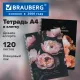 Тетрадь А4, 120 л., BRAUBERG, гребень, клетка, глянцевый лак, 